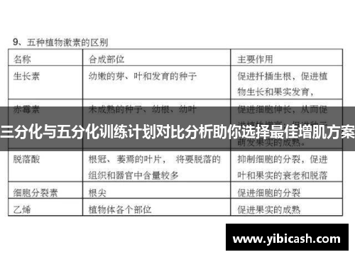三分化与五分化训练计划对比分析助你选择最佳增肌方案 三分化与五分化训练计划对比分析助你选择最佳增肌方案