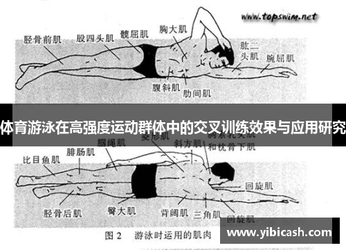 /uploads/images/20250609/ti-yu-you-yong-zai-gao-qiang-du-yun-dong-qun-ti-zhong-de-jiao-cha-xun-lian-xiao-guo-yu-ying-yong-yan-jiu.webp