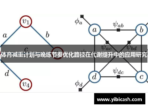 体育减重计划与晚练节奏优化路径在代谢提升中的应用研究